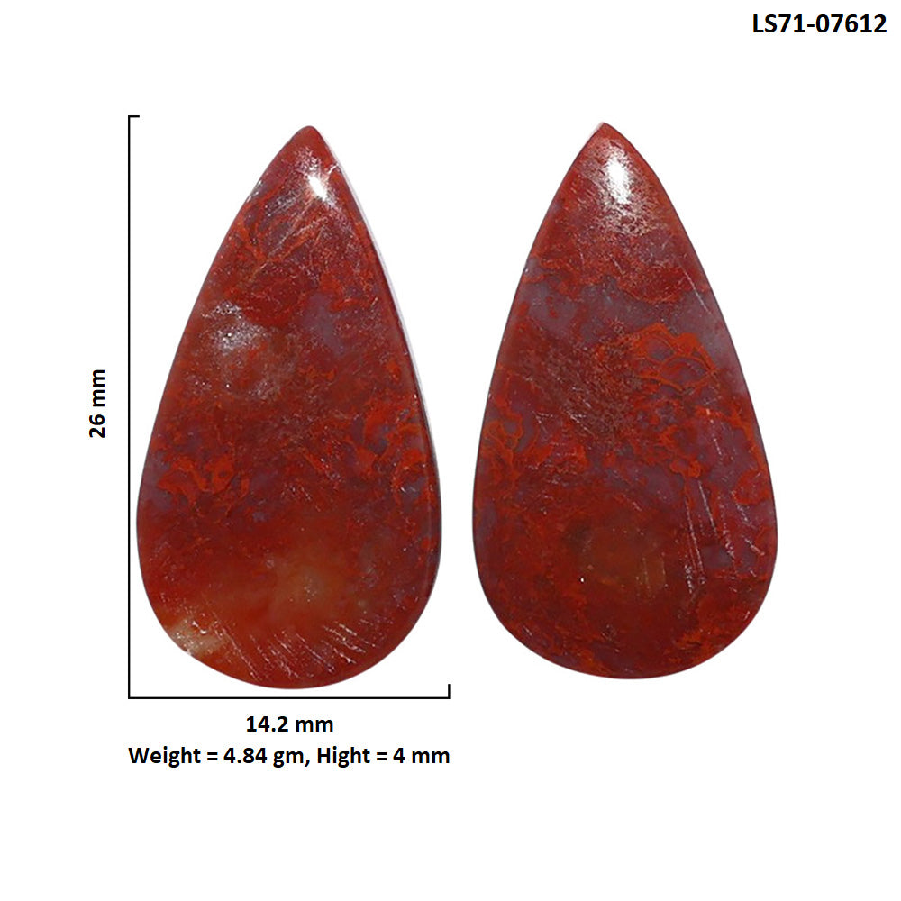 Rare Cady Mountain Agate Pair 14.2x26x4 mm Pear Shape Polished Gemstone LS71-07612