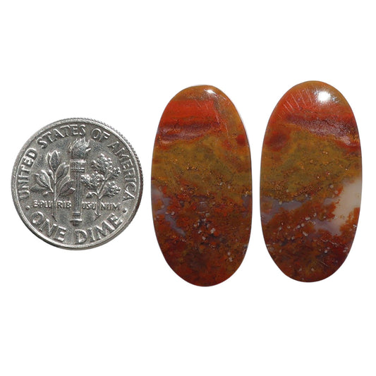 Rare Cady Mountain Agate Pair 13.6x27x4.5 mm Oval Shape Polished Gemstone LS71-07614