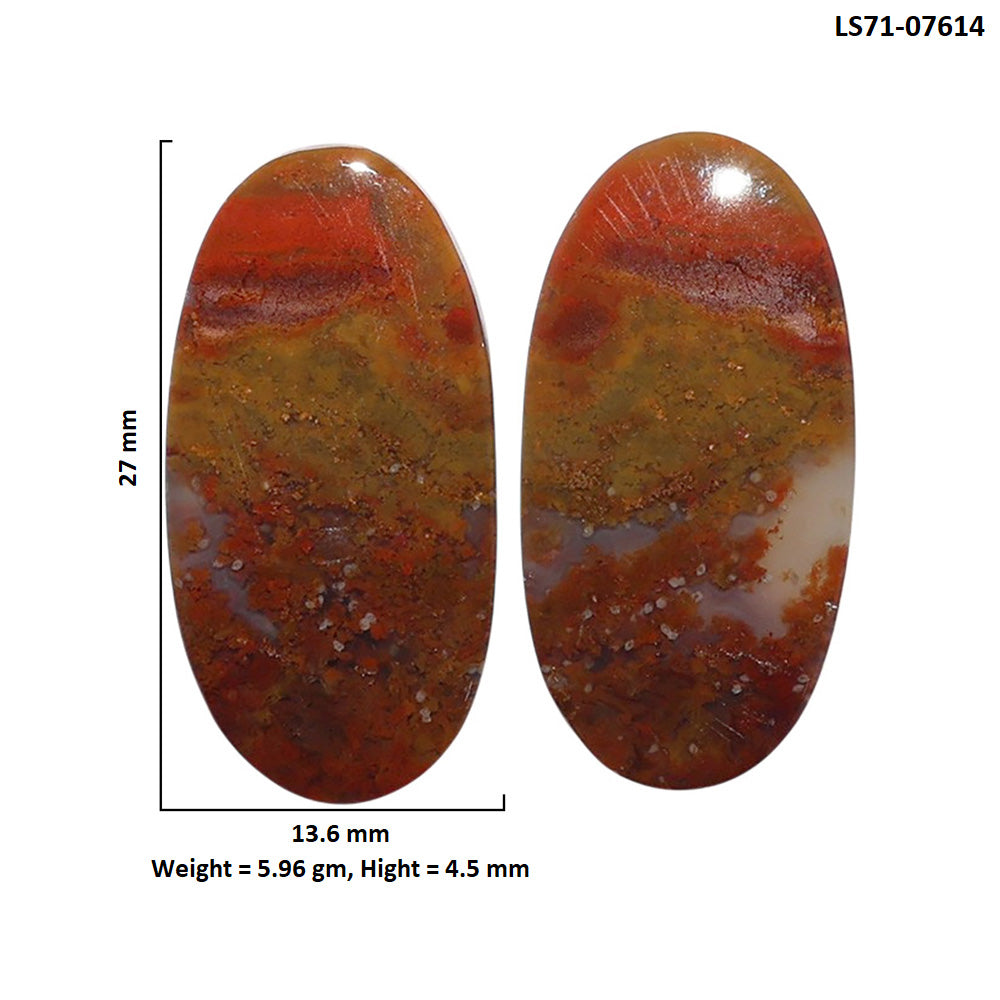 Rare Cady Mountain Agate Pair 13.6x27x4.5 mm Oval Shape Polished Gemstone LS71-07614