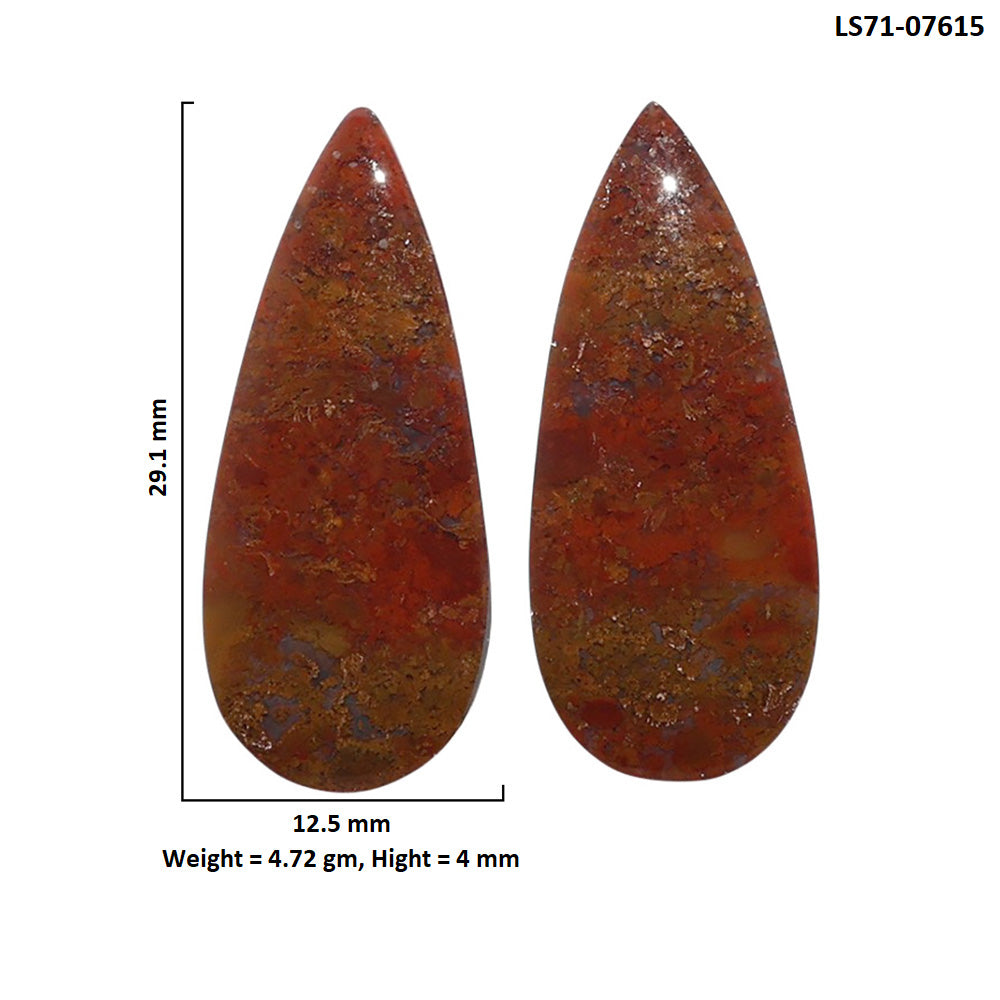 Rare Cady Mountain Agate Pair 12.5x29.1x4 mm Pear Shape Polished Gemstone LS71-07615