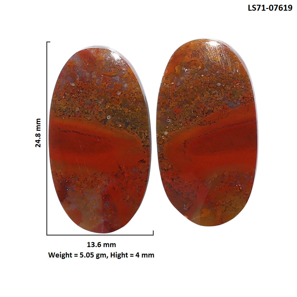 Rare Cady Mountain Agate Pair 13.6x24.8x4 mm Oval Shape Polished Gemstone LS71-07619