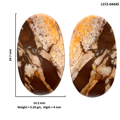 Outback Jasper Pair 14.2x24.7x4 mm Oval Shape Polished Gemstone LS72-04445
