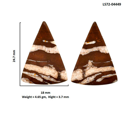 Outback Jasper Pair 18x24.7x3.7 mm Fancy Shape Polished Gemstone LS72-04449