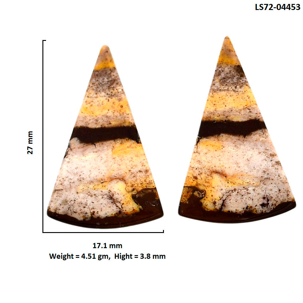 Outback Jasper Pair 17.1x27x3.8 mm Fancy Shape Polished Gemstone LS72-04453