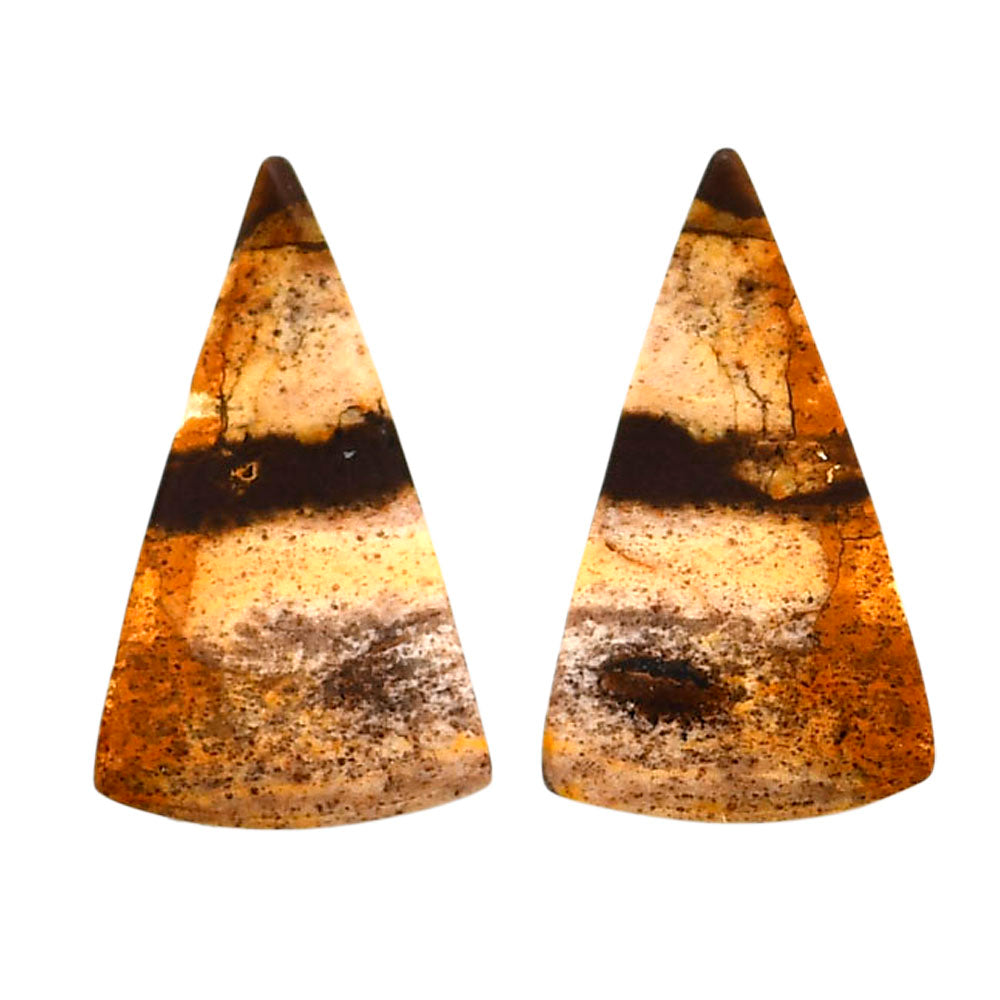 Outback Jasper Pair 14.4x24.5x3.5 mm Fancy Shape Polished Gemstone LS72-04455