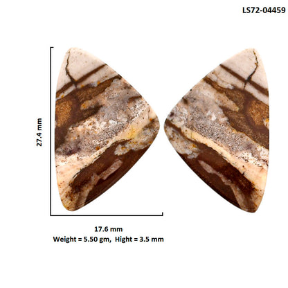 Outback Jasper Pair 17.6x27.4x3.5 mm Fancy Shape Polished Gemstone LS72-04459