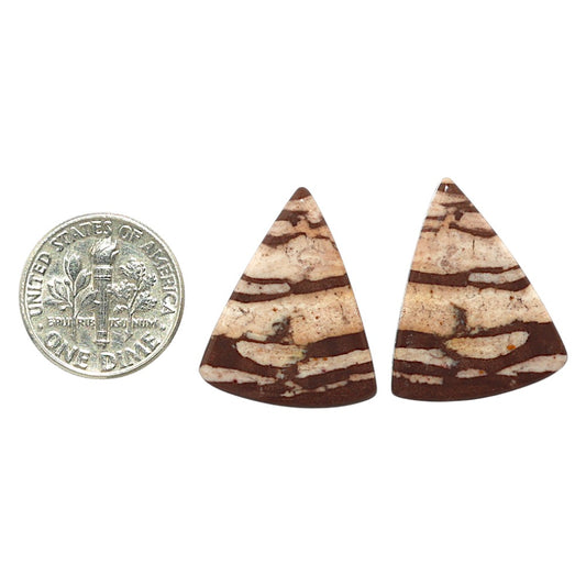 Outback Jasper Pair 19x23.5x3.7 mm Fancy Shape Polished Gemstone LS72-07436
