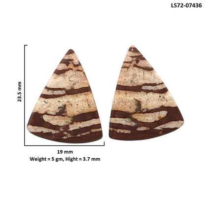 Outback Jasper Pair 19x23.5x3.7 mm Fancy Shape Polished Gemstone LS72-07436
