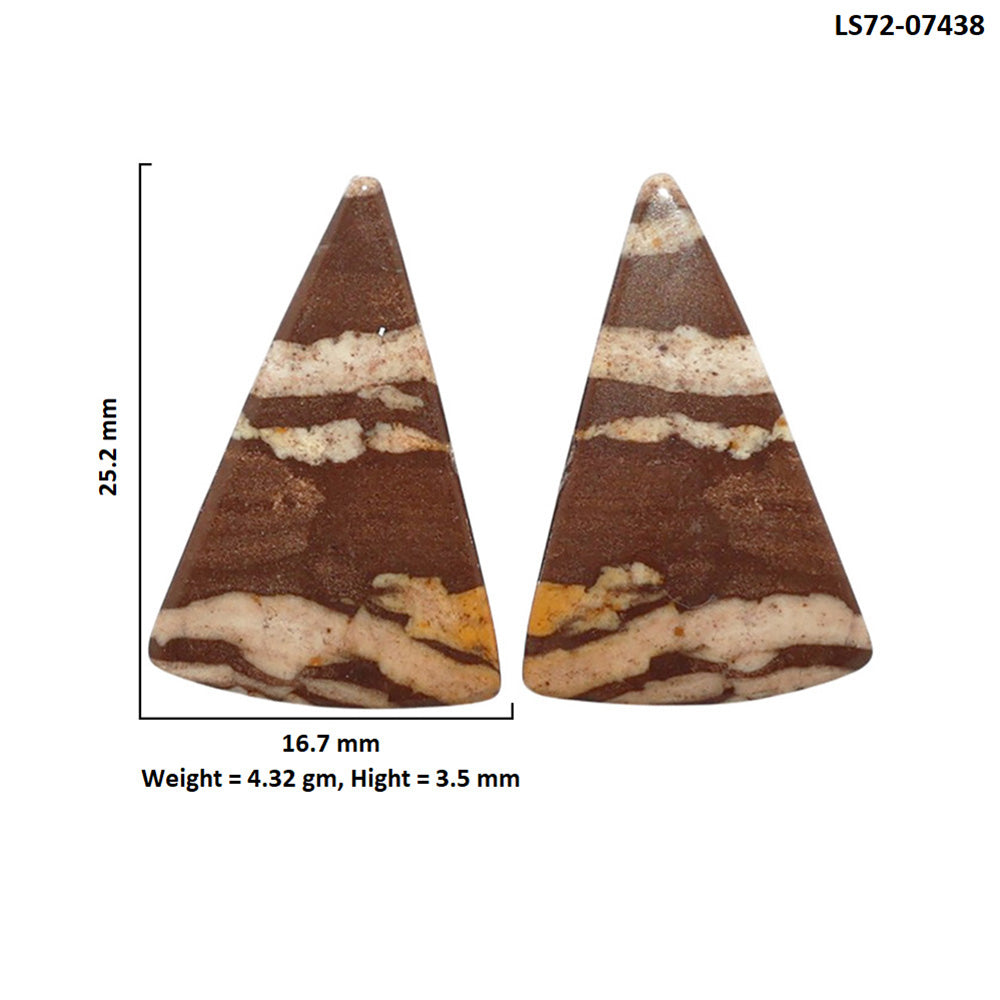 Outback Jasper Pair 16.7x25.2x3.5 mm Fancy Shape Polished Gemstone LS72-07438