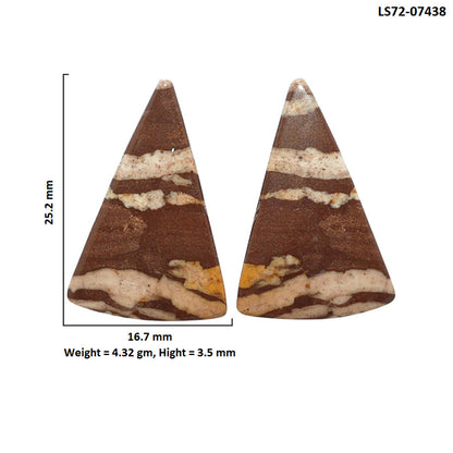 Outback Jasper Pair 16.7x25.2x3.5 mm Fancy Shape Polished Gemstone LS72-07438