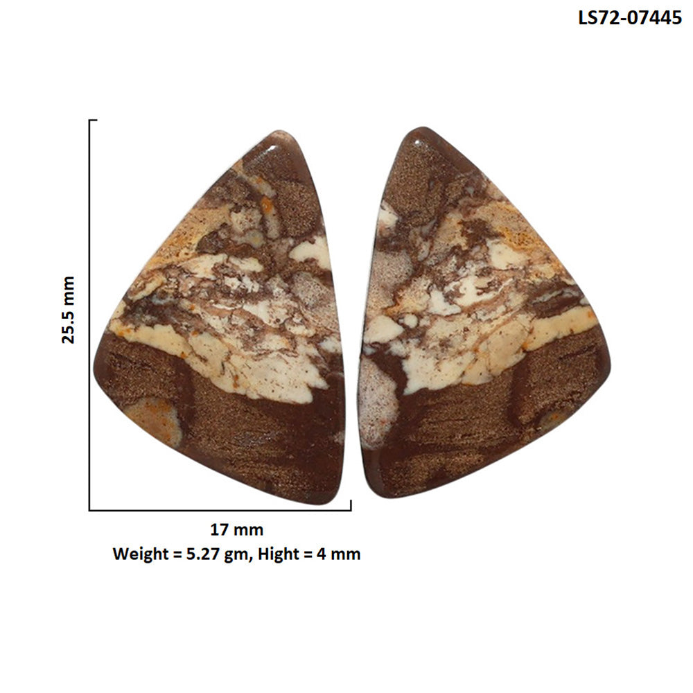 Outback Jasper Pair 17x25.5x4 mm Fancy Shape Polished Gemstone LS72-07445