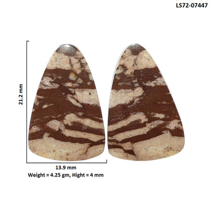 Outback Jasper Pair 13.9x21.2x4 mm Fancy Shape Polished Gemstone LS72-07447