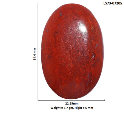 Red Moss Agate 22.55x34.4x5 mm Oval Shape Polished Gemstone LS73-07205