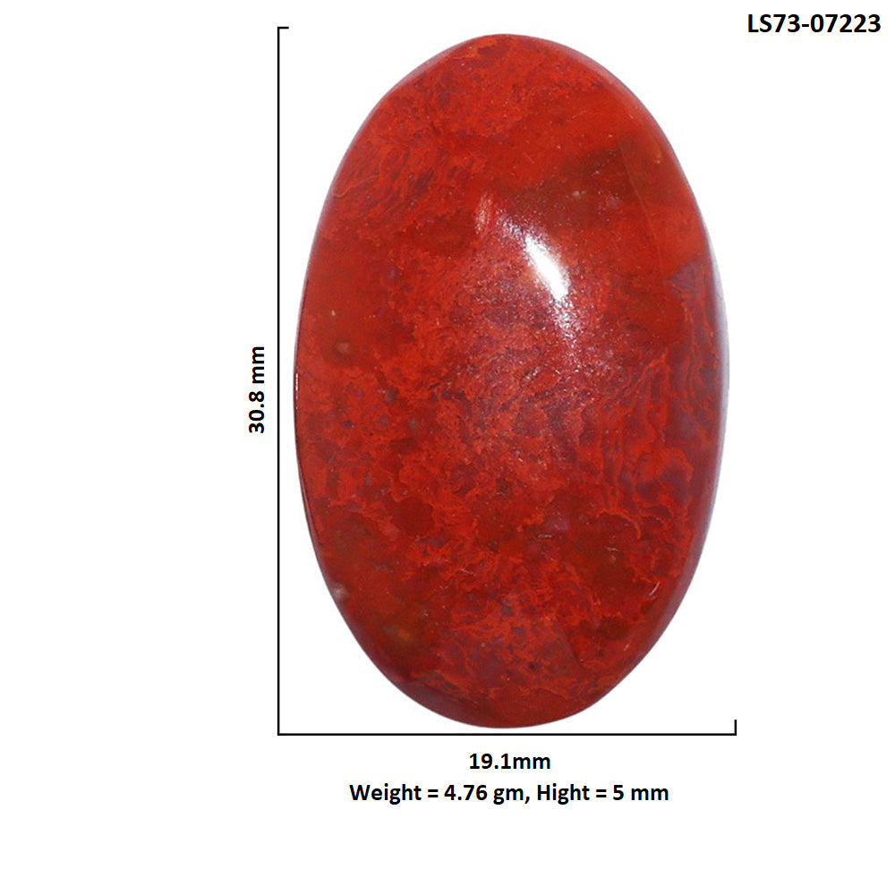 Red Moss Agate 19.1x30.8x5 mm Oval Shape Polished Gemstone LS73-07223