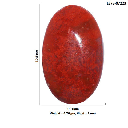 Red Moss Agate 19.1x30.8x5 mm Oval Shape Polished Gemstone LS73-07223
