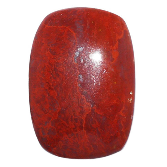 Red Moss Agate 17.8x25.45x6 mm Cushion Shape Polished Gemstone LS73-07228