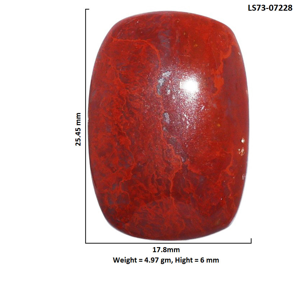 Red Moss Agate 17.8x25.45x6 mm Cushion Shape Polished Gemstone LS73-07228