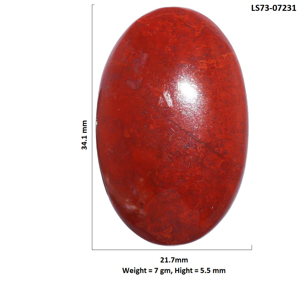 Red Moss Agate 21.7x34.1x5.5 mm Oval Shape Polished Gemstone LS73-07231
