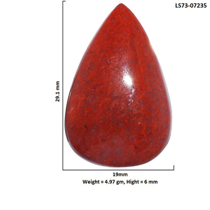 Red Moss Agate 19x29.1x6 mm Pear Shape Polished Gemstone LS73-07235