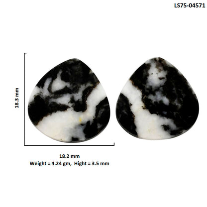 Black Zebra Jasper Pair 18.2x18.3x3.5 mm Heart Shape Polished Gemstone LS75-04571