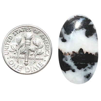Black Zebra Jasper 14.2x24.8x4 mm Oval Shape Polished Gemstone LS75-08182