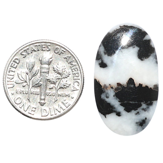 Black Zebra Jasper 14.2x24.8x4 mm Oval Shape Polished Gemstone LS75-08182