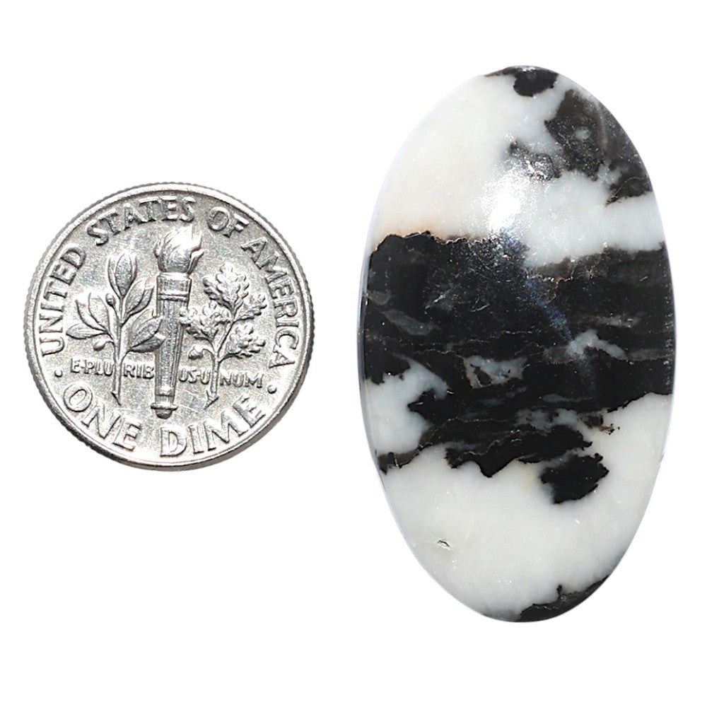 Black Zebra Jasper 19.8x34.35x5.5 mm Oval Shape Polished Gemstone LS75-08185