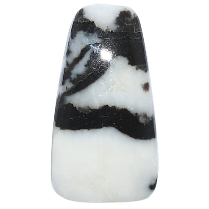 Black Zebra Jasper 16x29.3x5 mm Fancy Shape Polished Gemstone LS75-08186