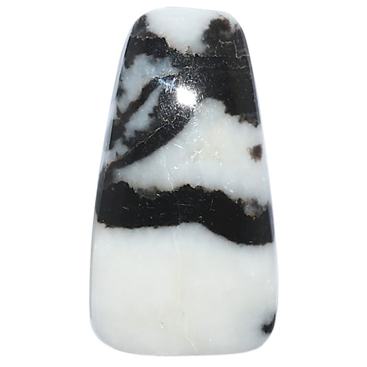 Black Zebra Jasper 16x29.3x5 mm Fancy Shape Polished Gemstone LS75-08186