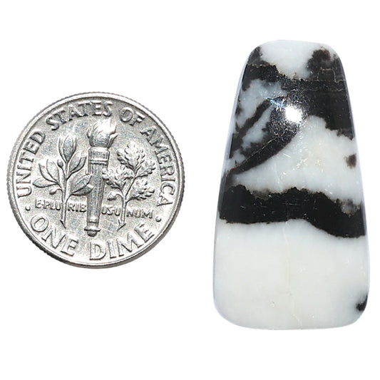 Black Zebra Jasper 16x29.3x5 mm Fancy Shape Polished Gemstone LS75-08186