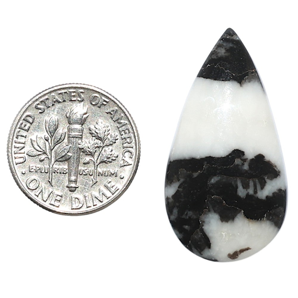 Black Zebra Jasper 16.5x31.5x5 mm Pear Shape Polished Gemstone LS75-08187