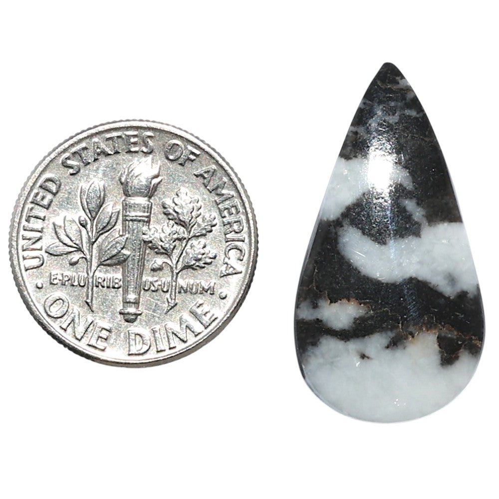 Black Zebra Jasper 13.7x25.9x4 mm Pear Shape Polished Gemstone LS75-08188