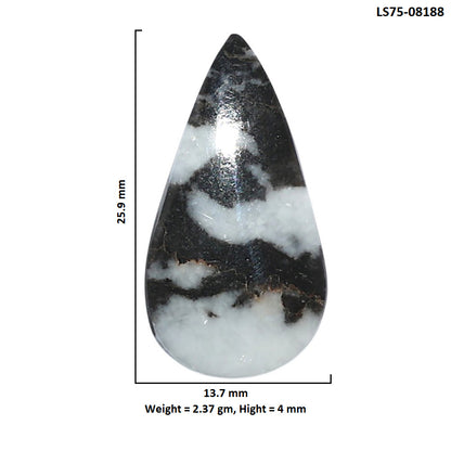 Black Zebra Jasper 13.7x25.9x4 mm Pear Shape Polished Gemstone LS75-08188
