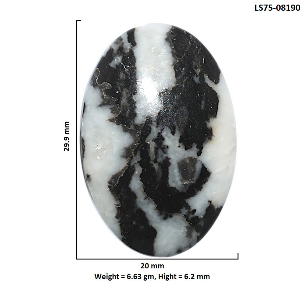 Black Zebra Jasper 20x29.9x6.2 mm Oval Shape Polished Gemstone LS75-08190