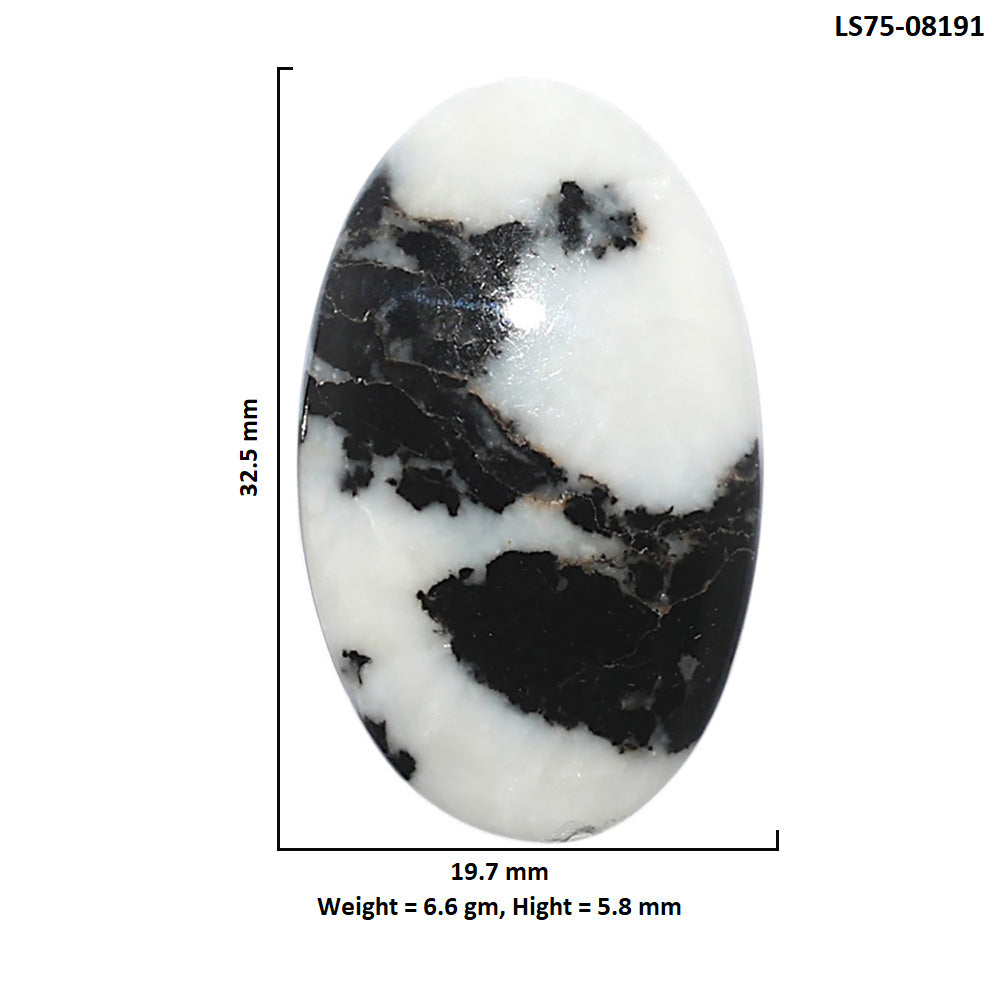 Black Zebra Jasper 19.7x32.5x5.8 mm Oval Shape Polished Gemstone LS75-08191