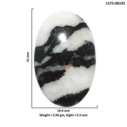 Black Zebra Jasper 19.9x31x5.5 mm Oval Shape Polished Gemstone LS75-08192
