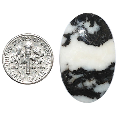 Black Zebra Jasper 19.6x31.4x5 mm Oval Shape Polished Gemstone LS75-08194