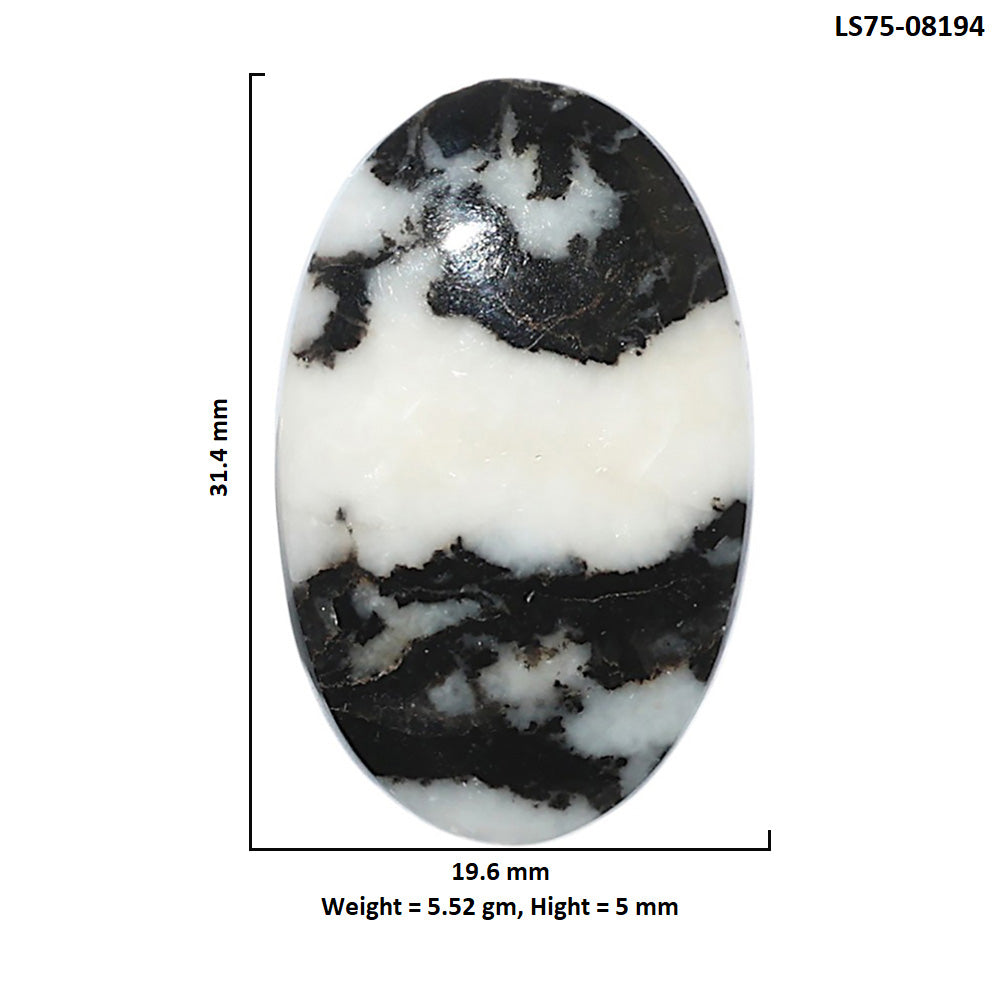 Black Zebra Jasper 19.6x31.4x5 mm Oval Shape Polished Gemstone LS75-08194
