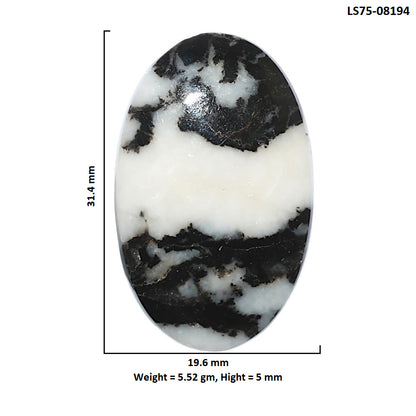 Black Zebra Jasper 19.6x31.4x5 mm Oval Shape Polished Gemstone LS75-08194