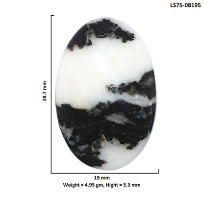 Black Zebra Jasper 19x28.7x5.3 mm Oval Shape Polished Gemstone LS75-08195