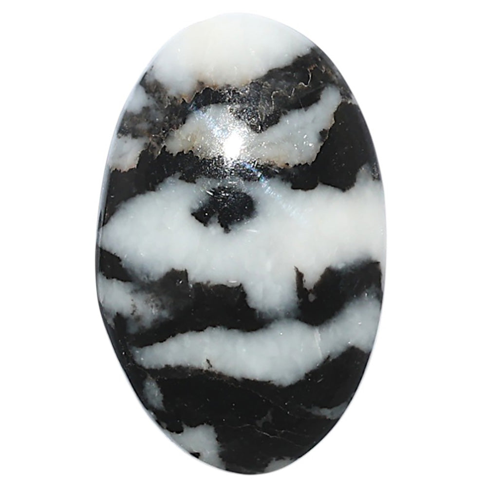 Black Zebra Jasper 19.8x31.5x5.5 mm Oval Shape Polished Gemstone LS75-08196