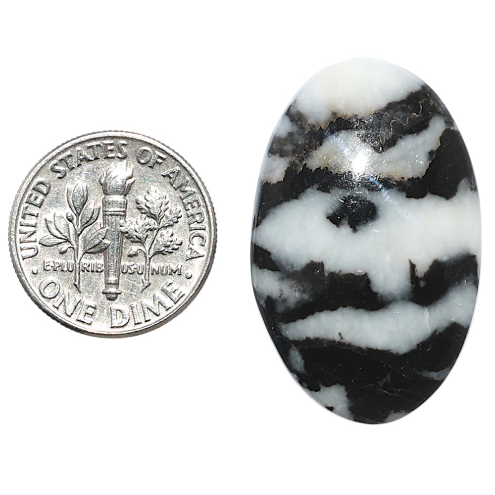 Black Zebra Jasper 19.8x31.5x5.5 mm Oval Shape Polished Gemstone LS75-08196