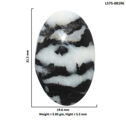 Black Zebra Jasper 19.8x31.5x5.5 mm Oval Shape Polished Gemstone LS75-08196