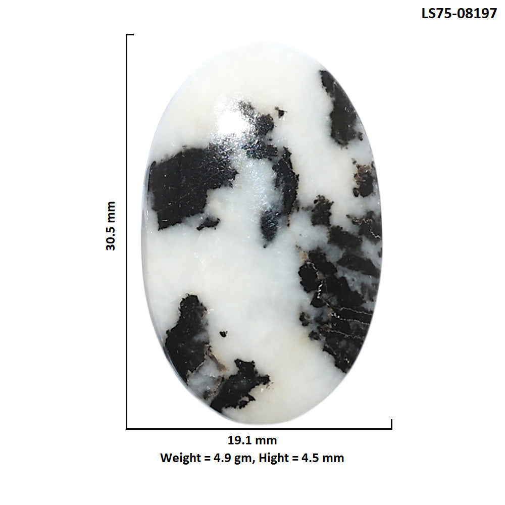 Black Zebra Jasper 19.1x30.5x4.5 mm Oval Shape Polished Gemstone LS75-08197