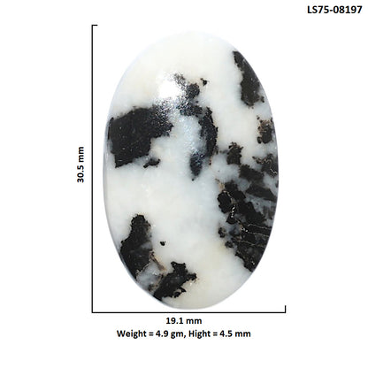 Black Zebra Jasper 19.1x30.5x4.5 mm Oval Shape Polished Gemstone LS75-08197