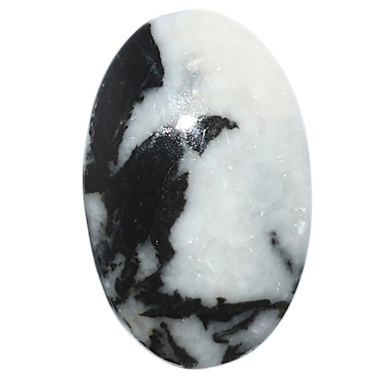 Black Zebra Jasper 17.3x27.35x5 mm Oval Shape Polished Gemstone LS75-08198