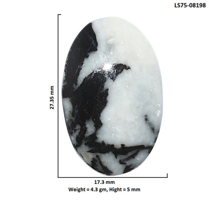 Black Zebra Jasper 17.3x27.35x5 mm Oval Shape Polished Gemstone LS75-08198