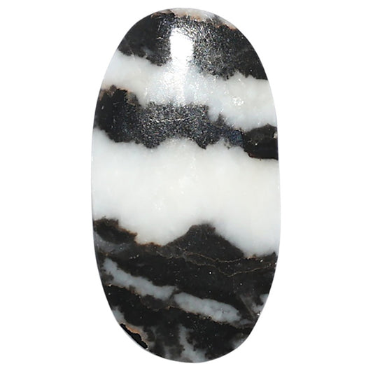 Black Zebra Jasper 15.5x29x3.5 mm Oval Shape Polished Gemstone LS75-08199