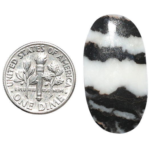 Black Zebra Jasper 15.5x29x3.5 mm Oval Shape Polished Gemstone LS75-08199