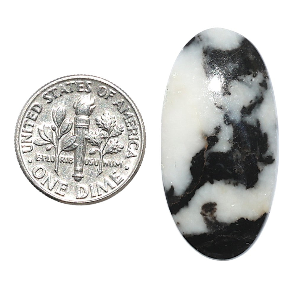 Black Zebra Jasper 16x31.7x5 mm Oval Shape Polished Gemstone LS75-08200